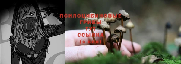 ПСИЛОЦИБИНОВЫЕ ГРИБЫ Лиски