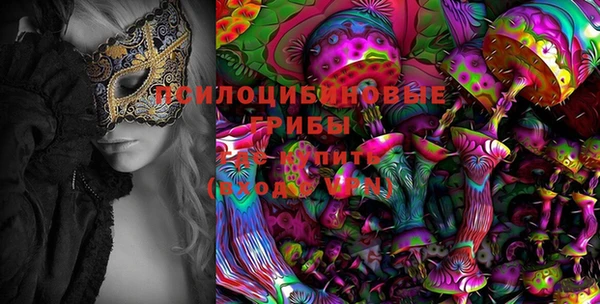 ПСИЛОЦИБИНОВЫЕ ГРИБЫ Лиски