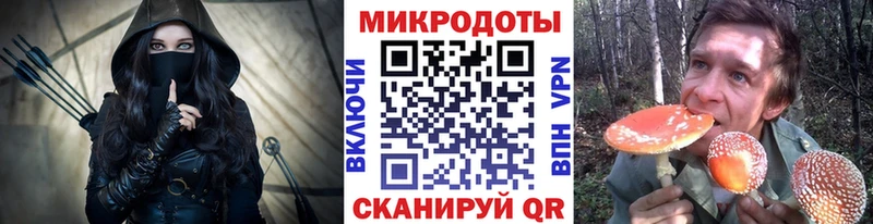 Псилоцибиновые грибы мицелий  что такое   Нерехта 